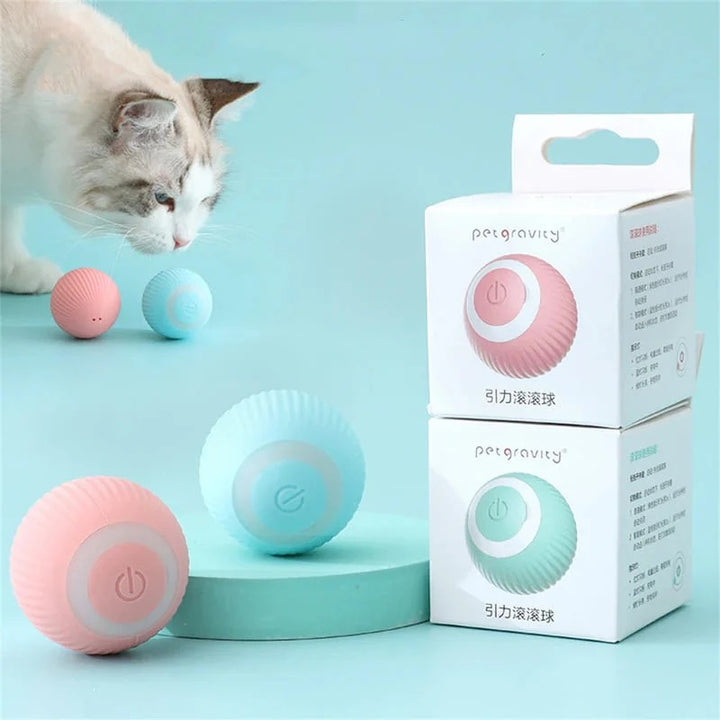 3 EN 1 CEPILLO VAPOR PARA GATO Y PERRO